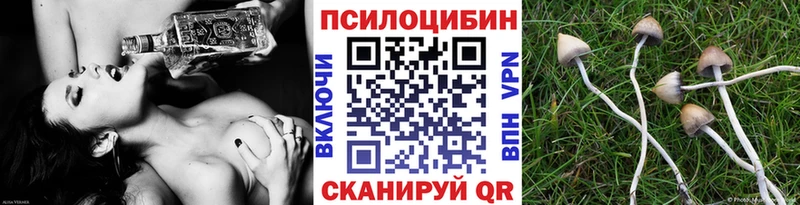даркнет сайт  Кашира  Псилоцибиновые грибы мухоморы 